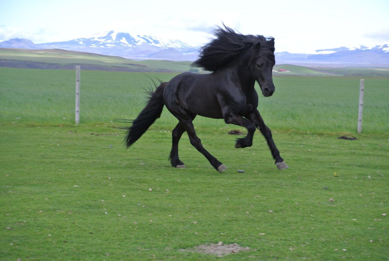 Hekla Adventures Villa Hvolsvöllur Kültér fotó
